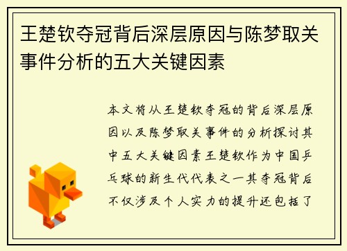 王楚钦夺冠背后深层原因与陈梦取关事件分析的五大关键因素